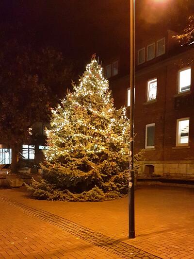 Der Weihnachtsbaum 2021 vor dem Rathaus