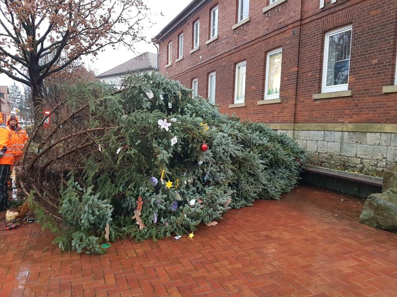 Weihnachtsbaum vor dem Rathaus umgekippt