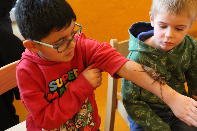 Das gro&szlig;e Krabbeln in der Kita im sOfA